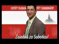 Lokalni izbori 2008. video spot