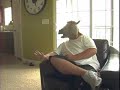 Gorilla & Horse Animals - 