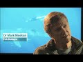 Marine Ecosystem Health