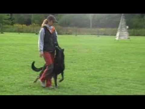Hyro Waji a DenÄa