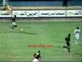 Ahly Team
