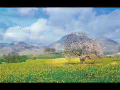 Spring in Mediterranean North Cyprus