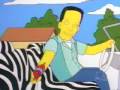 Simpsons ZAP