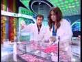 El hormiguero 06/02/2008 -- Flipy
