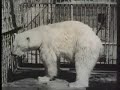 Cheyenne Mountain Zoo in 1936 Cheyenne Mountain Zoo in 1936