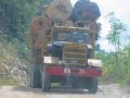 environmental degradation