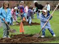 environmental degradation