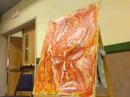 Sanford Art Society Experience