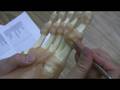 Ligaments and Tendons of the Foot