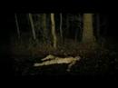Tony Galtieri - Night Watch