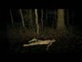 Tony Galtieri - Night Watch
