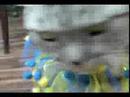 20070619-???????