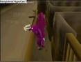 death to the dorgeshuun quest guide tactical part