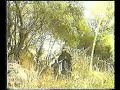 Hizbollah-Training Hizbollah-Training