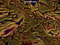 A Split Second - Flesh 2002