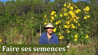 faire ses semences