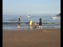 surfs up 2