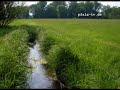 H�r Bilder - Naturger�usche - Grillen zirpen auf einer Wiese