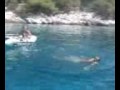 Alexis Commando at Agistri