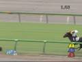 2008年10月12日 東京4R 障害未勝利 アンティークコイン