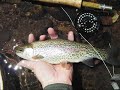 US National Fly Fishing Championships 2006 Colorado