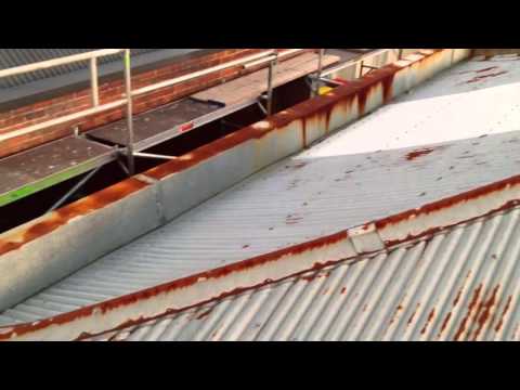 how to paint a roof nz
