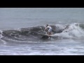 PacSun USA Surf Team in Costa Rica - Episode 7 is IN!