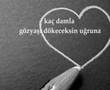 SagopA KajmeR - BiR PesimistiN GözyaşlarI
