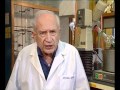 Cannabis in the Brain