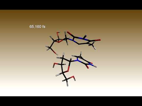how to repair pyrimidine dimers