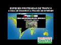D�a mundial de la Tortuga.23 mayo 2007