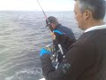 jigging denton-rayo