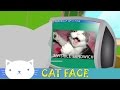 Cat Face 13