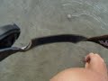on the beach on the beach