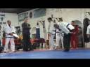blue belt grading Luke