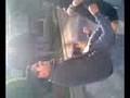 Baloo a medio coger