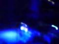 videos de Fall Out Boy Live Birmingham