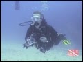 Belize scuba, Belice Buceo #3