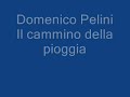 Domenico Pelini, Il cammino della pioggia.wmv