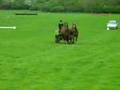 videos de Rupert and Obadiah's first attempt at dressage - Rockbourne