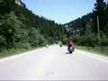Lucky Biker Smart Deer