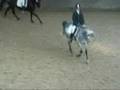 E-Dressur Hohenkirchen2008