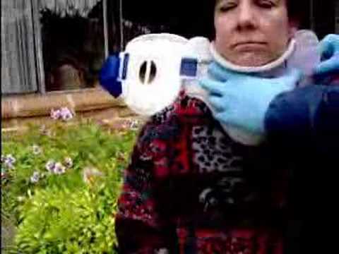 how to apply oec online