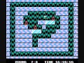 www.originalnintendo.blogspot.com final time 1:09:12.27 (from start round 1-1 to druidle final hit.) world 7-7 to world 8-10
