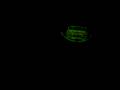 thrill seeker video 002