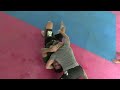 Nevertap 2010 – Absolute Division – Chris Cape wins by submission – Match 3