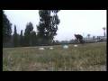 GUSTAVO-DANIEL-RUHL-