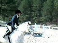 PHJA Year End Event Long Stirrup Hunter O/F B