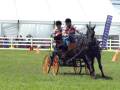 equitana 369