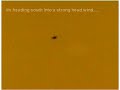 bright ufo emitting strange beame or mist bright ufo emitting strange beame or mist